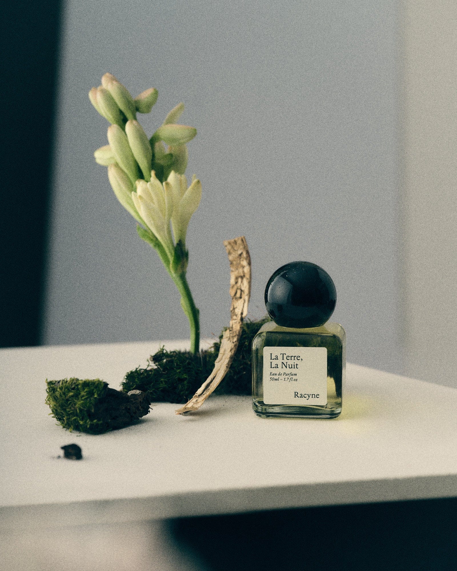 La Terre, La Nuit - The Natural Beauty Club