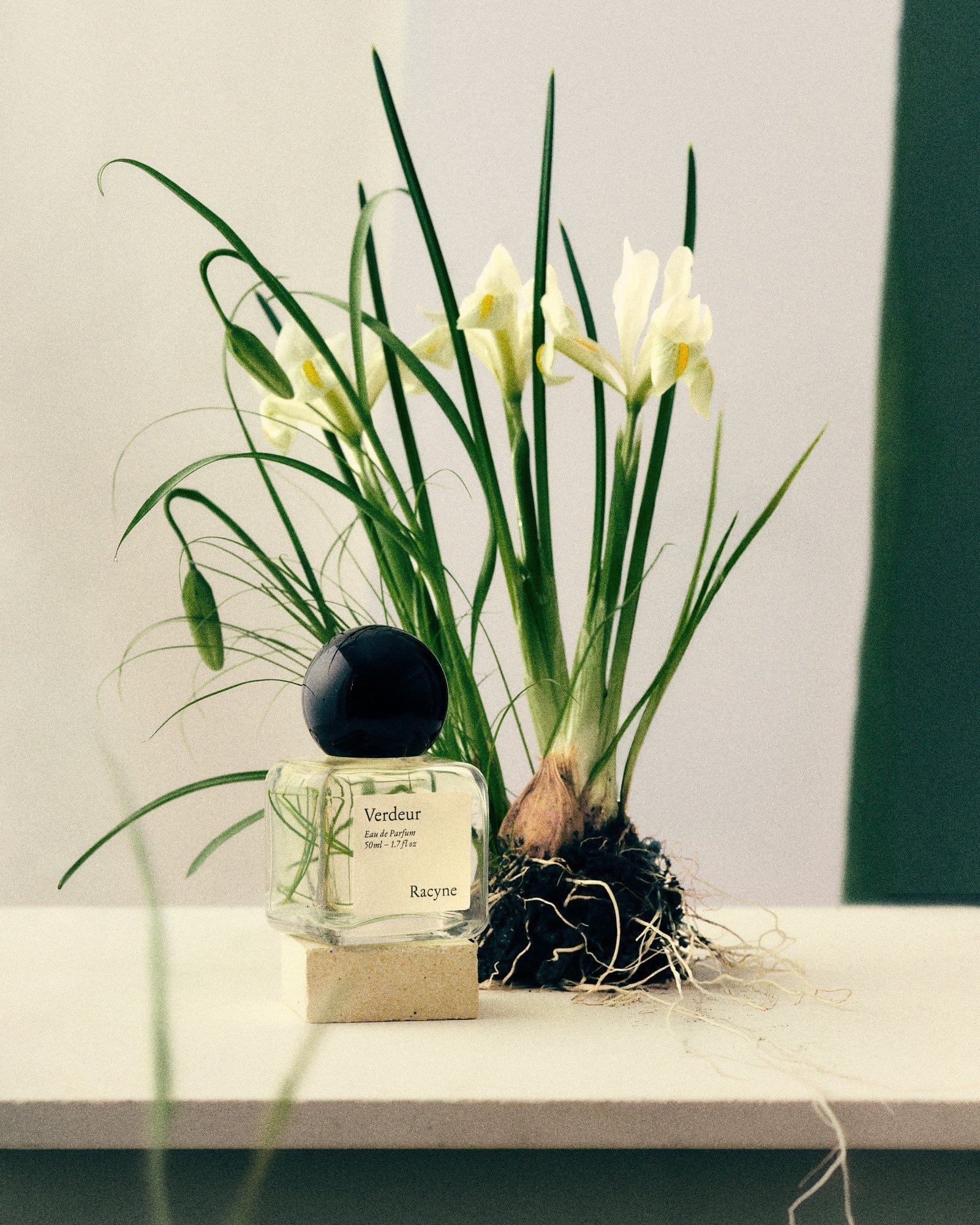Verdeur - The Natural Beauty Club