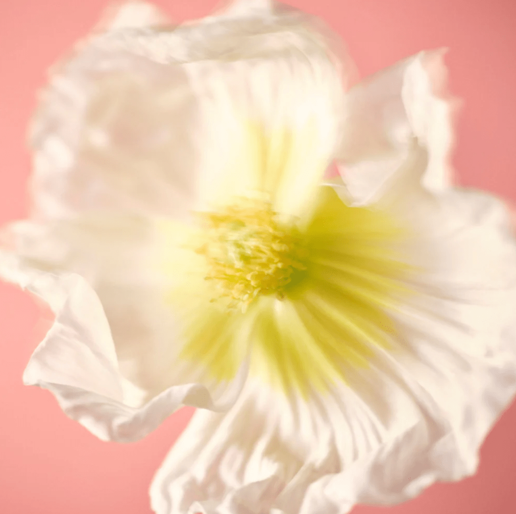 NUORI - Midsommer - The Natural Beauty Club