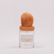 FASCENT - L'eau d'or dort - The Natural Beauty Club